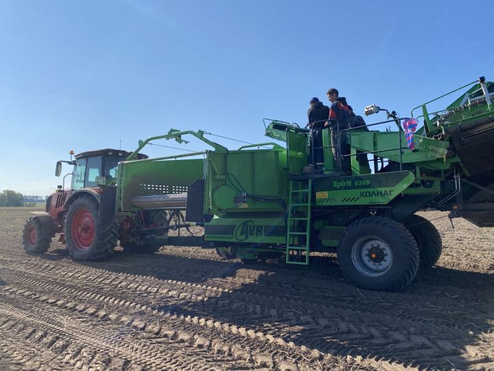 Воспитание знаниями и трудом: Студенты аграрного колледжа собирают урожай