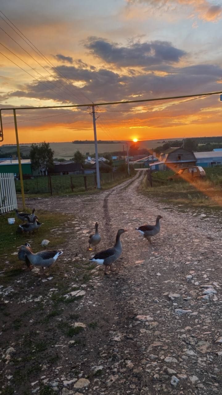 В Кукморском районе ожидается до +19 градусов