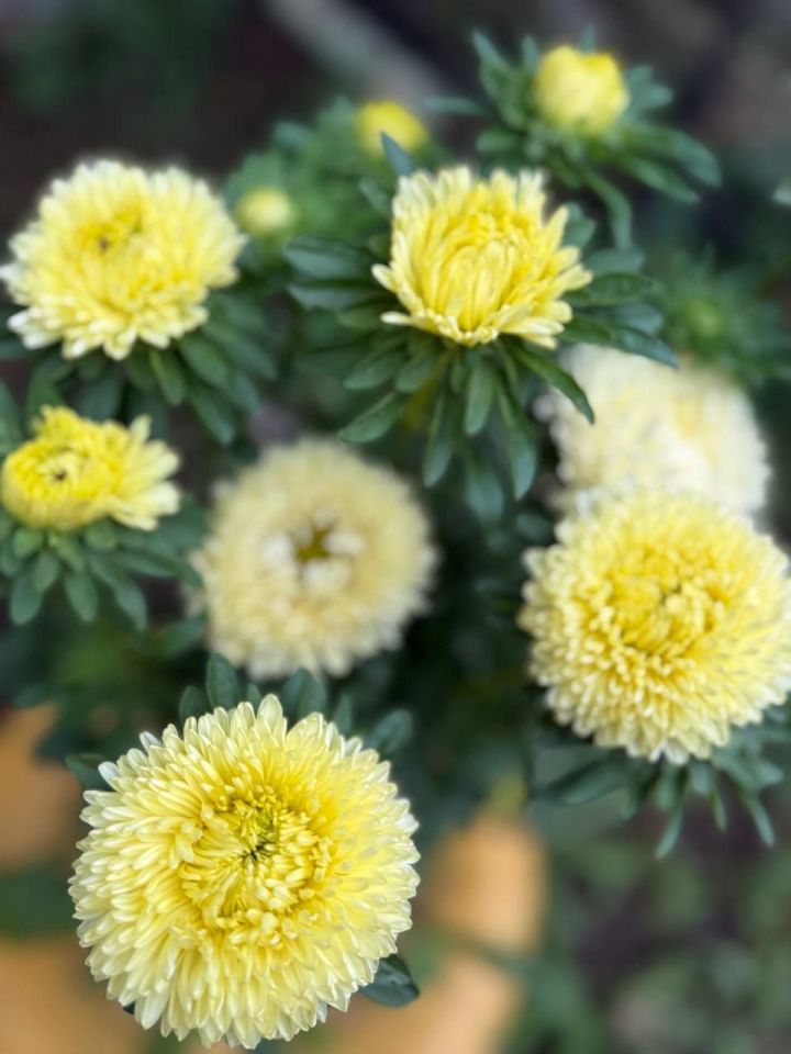 Гороскоп на 8 сентября: Ракам повезет найти уголок уюта, Близнецы получат заряд общения