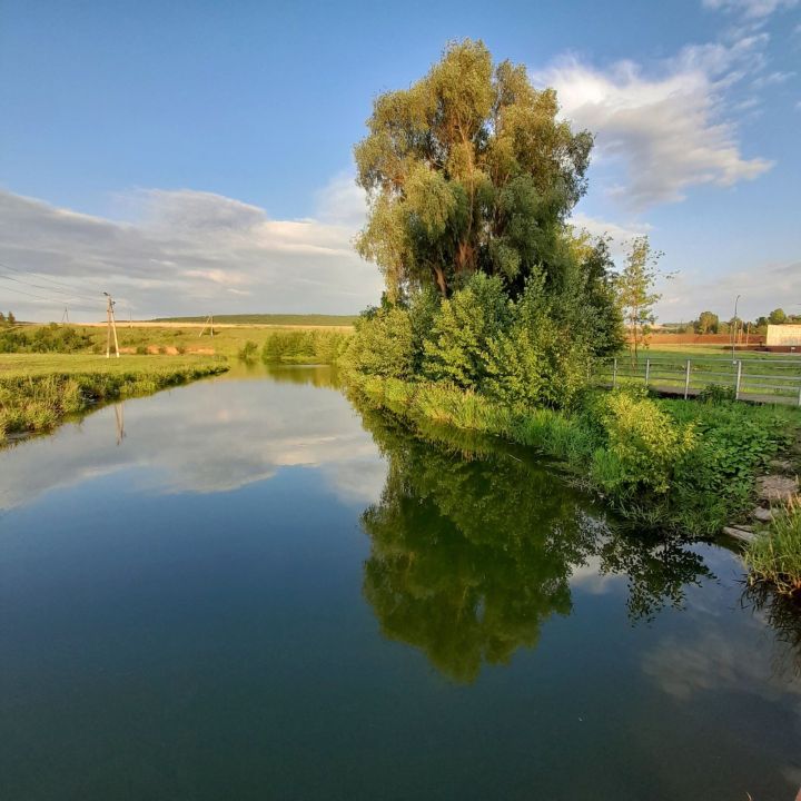 В Кукморском районе ожидается до +24 градусов