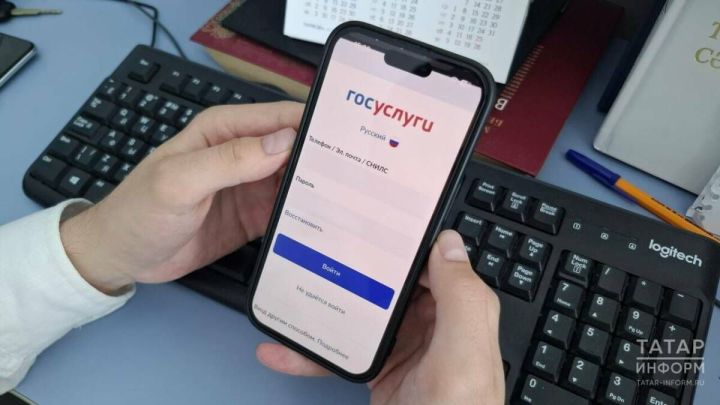 «Зеленая кнопка» на «Госуслугах» позволит отменять ограничения