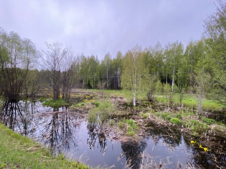 В Кукморском районе ожидается до —4 градусов