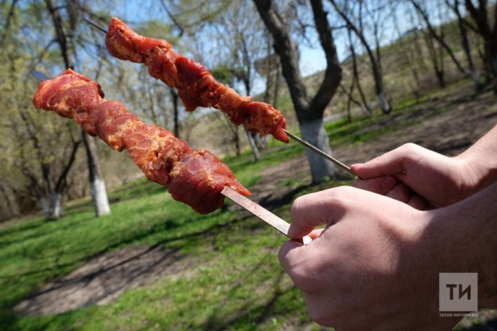 Эксперты в Татарстане рассказали, как выбрать безопасный шашлык на майские праздники