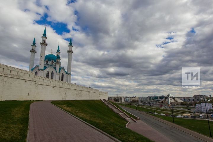 «Коты Казани»: в столице Татарстана появится интерактивный маршрут