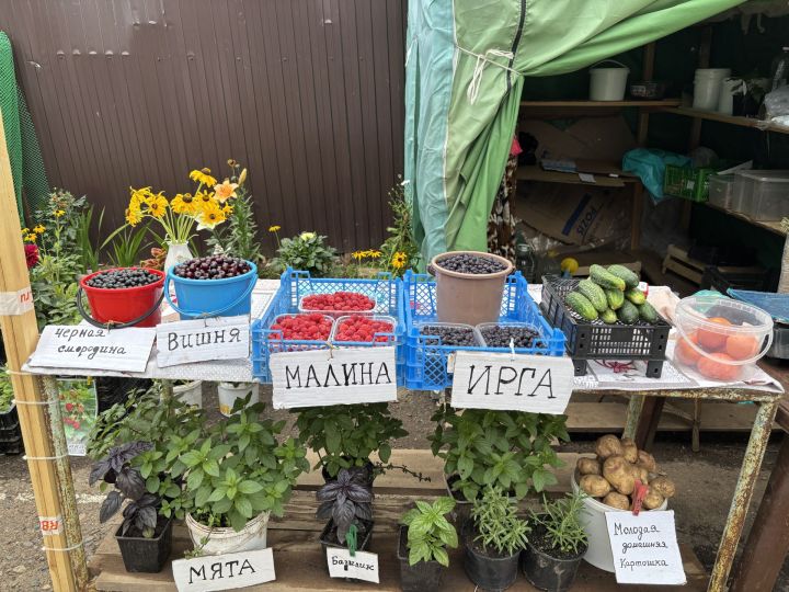 Цена летнего урожая: Обзор овощей и фруктов на рынке Кукмора
