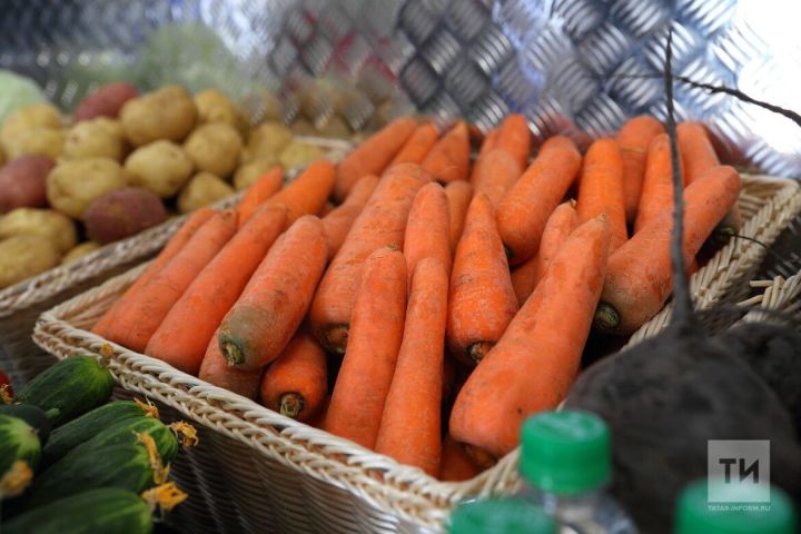 В Татарстане выросли цены на лук и картофель, а сезонные овощи продолжают дешеветь
