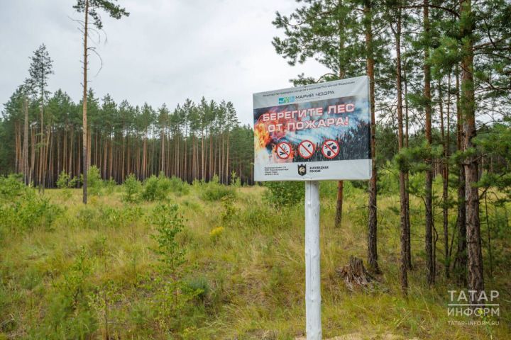 Жителям Кукморского района напомнили о правилах пожарной безопасности в лесах