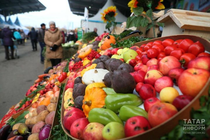 Россия Үзбәкстанның биш экспортерыннан яшелчә һәм җиләк-җимеш кертүгә чикләүләр кертә