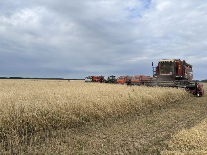 В Татарстане продолжается уборочная кампания