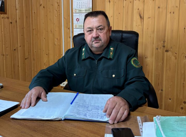 Лес начинается с одного дерева: о работе Кукморского лесничества